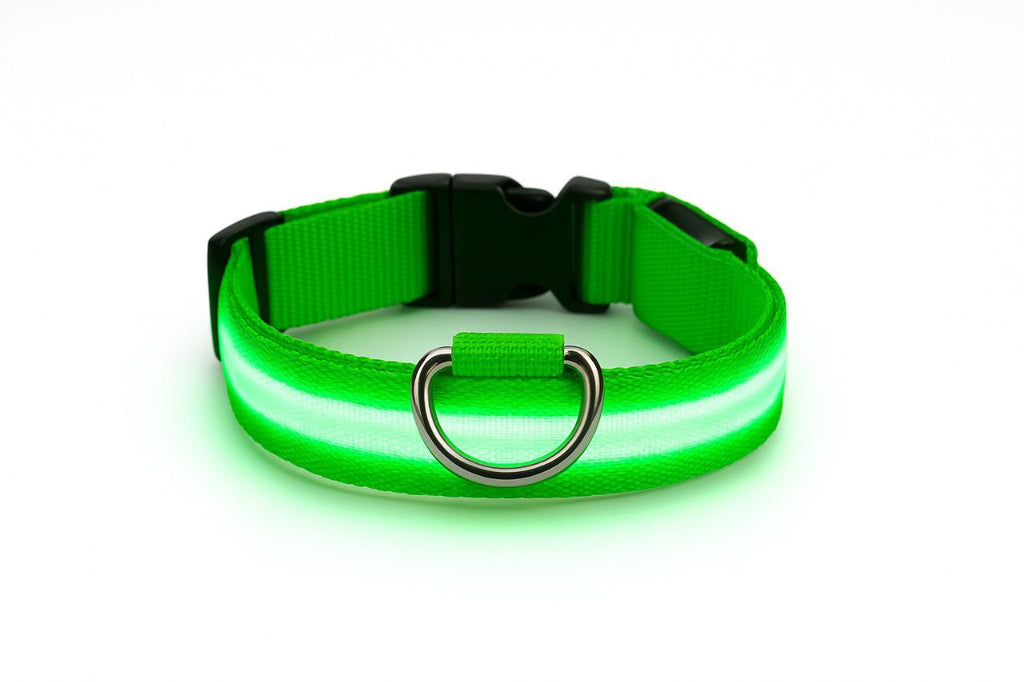 LED Lighted Dog Collar