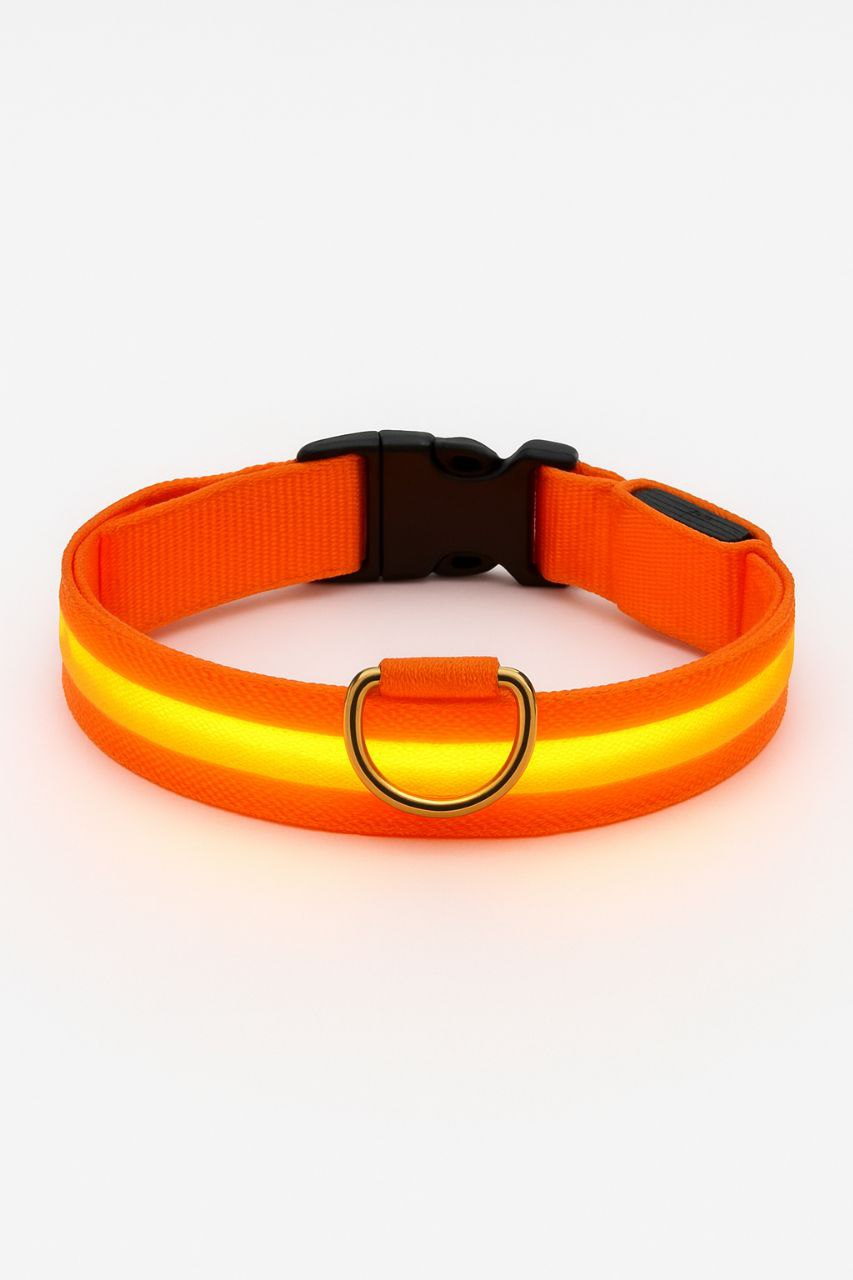 LED Lighted Dog Collar