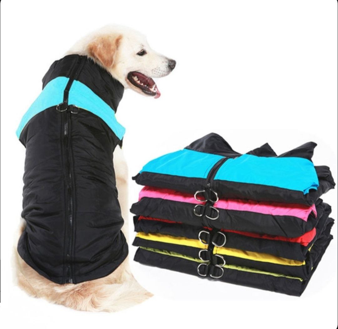 Dog wearing a black and blue jacket with a stack of similar jackets in various colors on a white background.